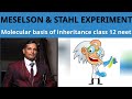 17.Meselson and Stahl experiment ,Biology class 12 molecular basis of inheritance