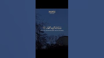 يوم تبدل الأَرض غير الْأرض وَالسَّمَاوَاتُ ۖ وبرزوا لِلَّهِ |سورة إبراهيم |القارئ عبدالرحمن مسعد 🤍🌸