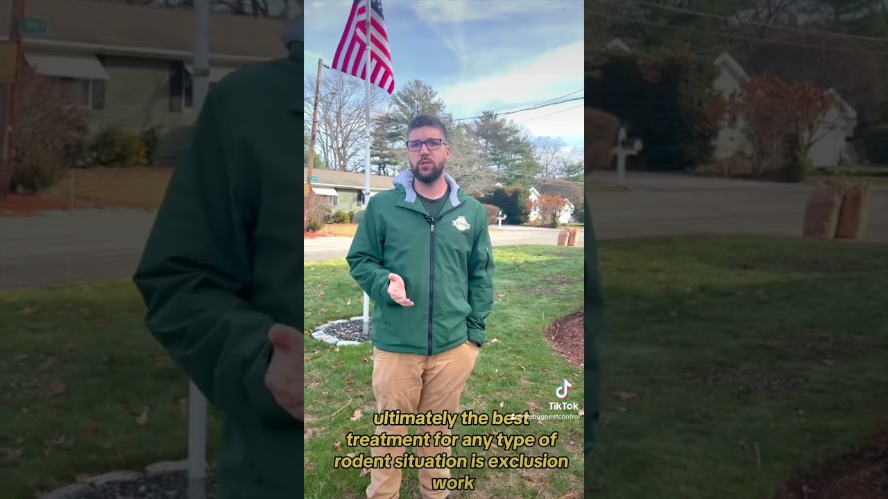 Mastering Mice Control 