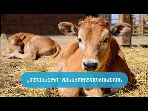 ელექსირი მესაქონლეობისთვის