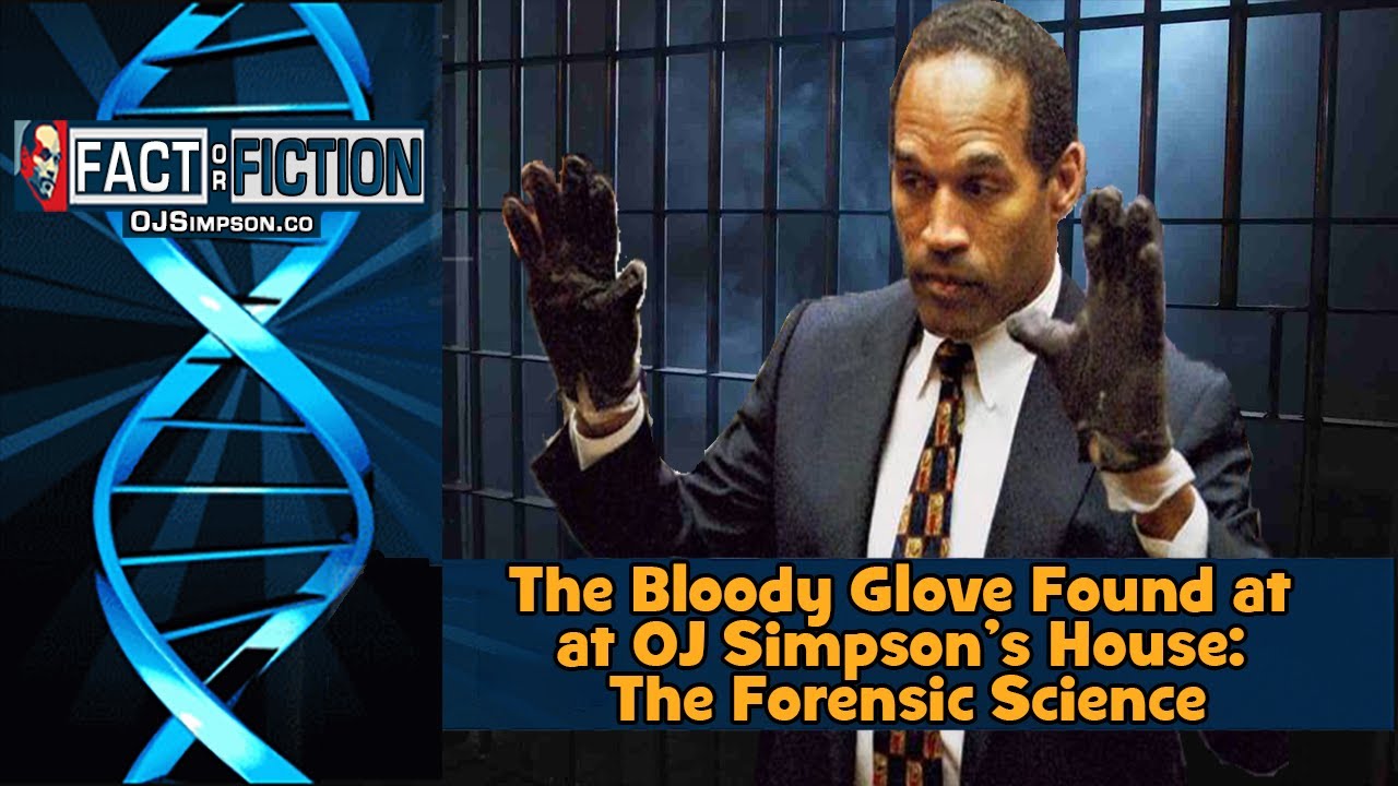 The Bloody Glove Mark Fuhrman Found At The Home Of Oj Simpson The Forensic Evidence The Bloody Glove Mark Fuhrman Found At The Home Of Oj Simpson The Forensic Evidence