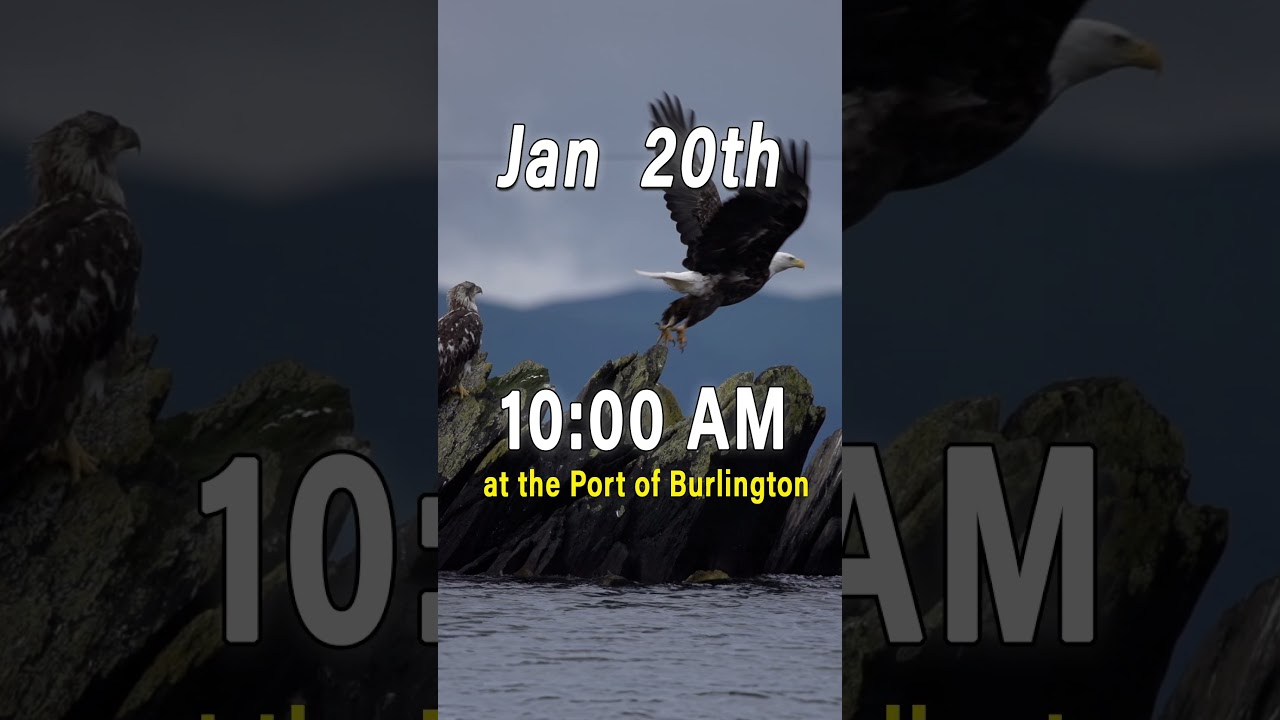 Eagle Watch