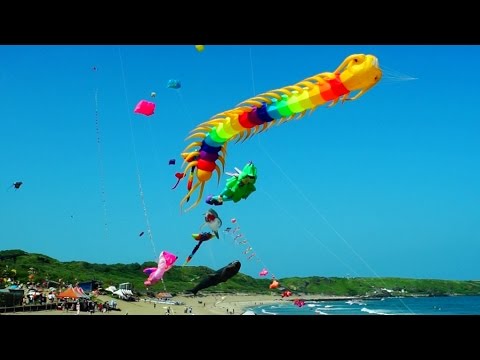 2014新北國際風箏節-軟體風箏 Kite