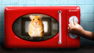 The Science of how being Bored makes you Sadistic