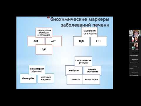 «Клиническая интерпретация биохимических маркеров печени»