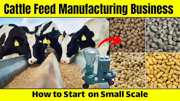 How to Start a Cattle Feed Manufacturing Business on Small Scale