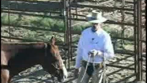 Peter Campbell "Horsemanship Everday Basics" DVD