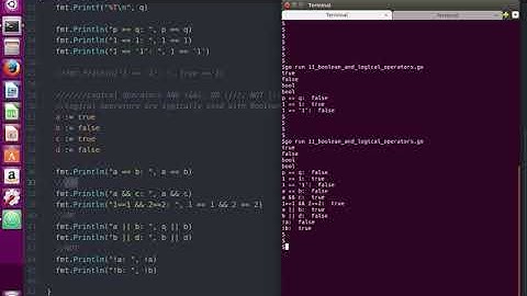 Go Golang Programming 11 - Boolean Data Type and Logical Operators
