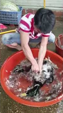 Make duck feathers very fast #shorts