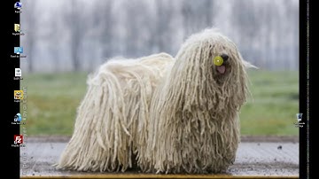 Lenguaje C# (Video 018): Orientada a Objetos, Interfaces