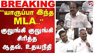 🔴LIVE: CM Vijay | ''அட யாருப்பா இந்த MLA..! - குலுங்கி குலுங்கி சிரித்த ஆதவ் உதயநிதி