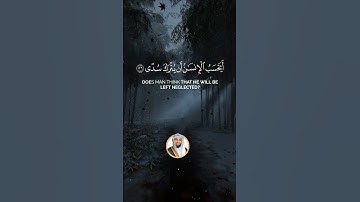 "أيحسب الإنسان أن يترك سدى" سورة القيامة SURAH AL-QIYAMA #عبدالولي_الاركاني #abdulwali_alarkani