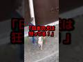 コントロール不能なピットブルが秋田犬に襲いかかった5秒後…全米が凍りついた理由