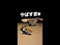 スケボー初心者のオーリーがヤバすぎた！＃Shorts