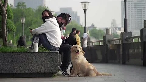 No new deaths for China, Wuhan lockdown easing