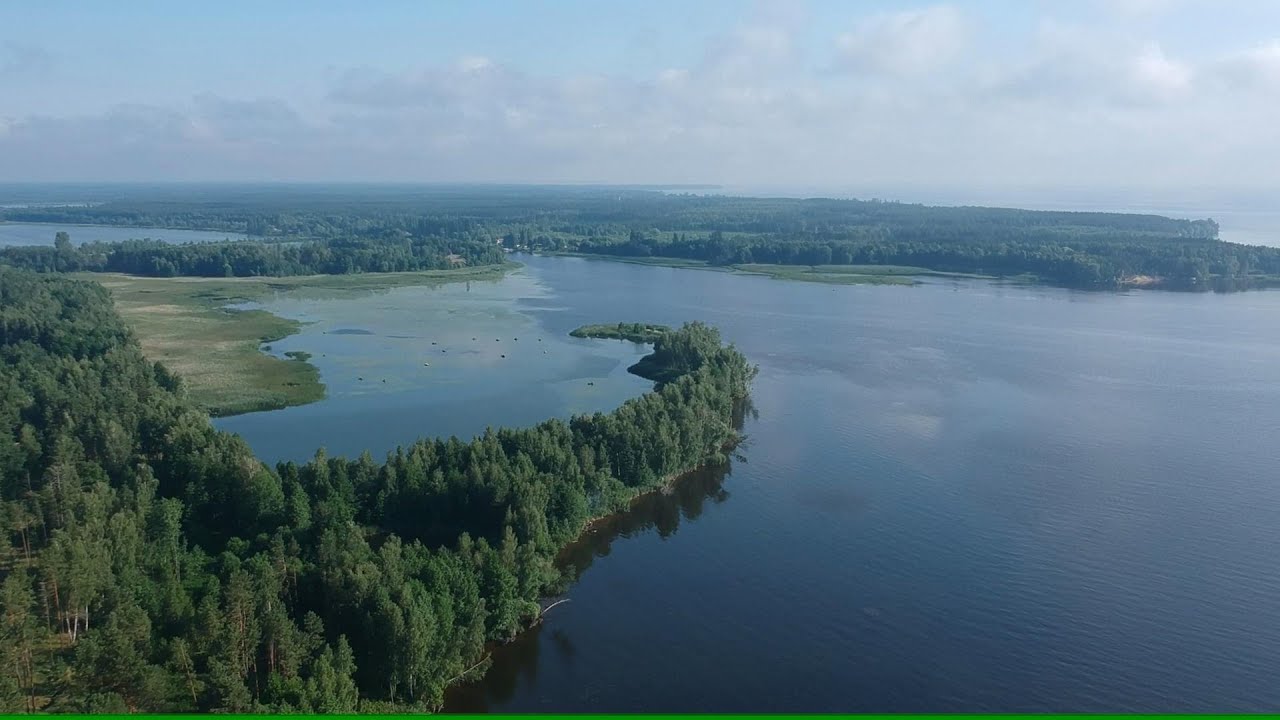 Киев море какое