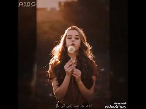 افوكاتو بالعسل حبك واصل