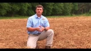 Westervelt Wildlife Wisdom, Preparing Food Plots   Part 1
