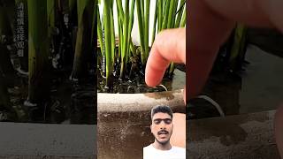 30 August 2025Called The Fish Out    Mryas2M