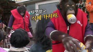 티켓 대신 식혜 받는 놀이공원...? 놀이공원 알바생이 된 오랑이  | KBS 주주클럽 071111 방송