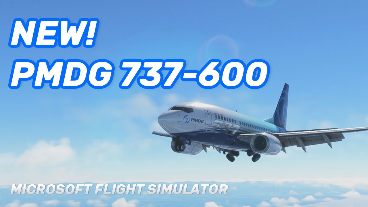 PMDG 737-600 for Microsoft Flight Simulator - PMDG Simulations LLC