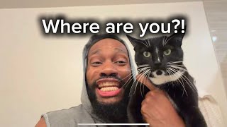 Why do we panic when we can’t find our cats?!?!