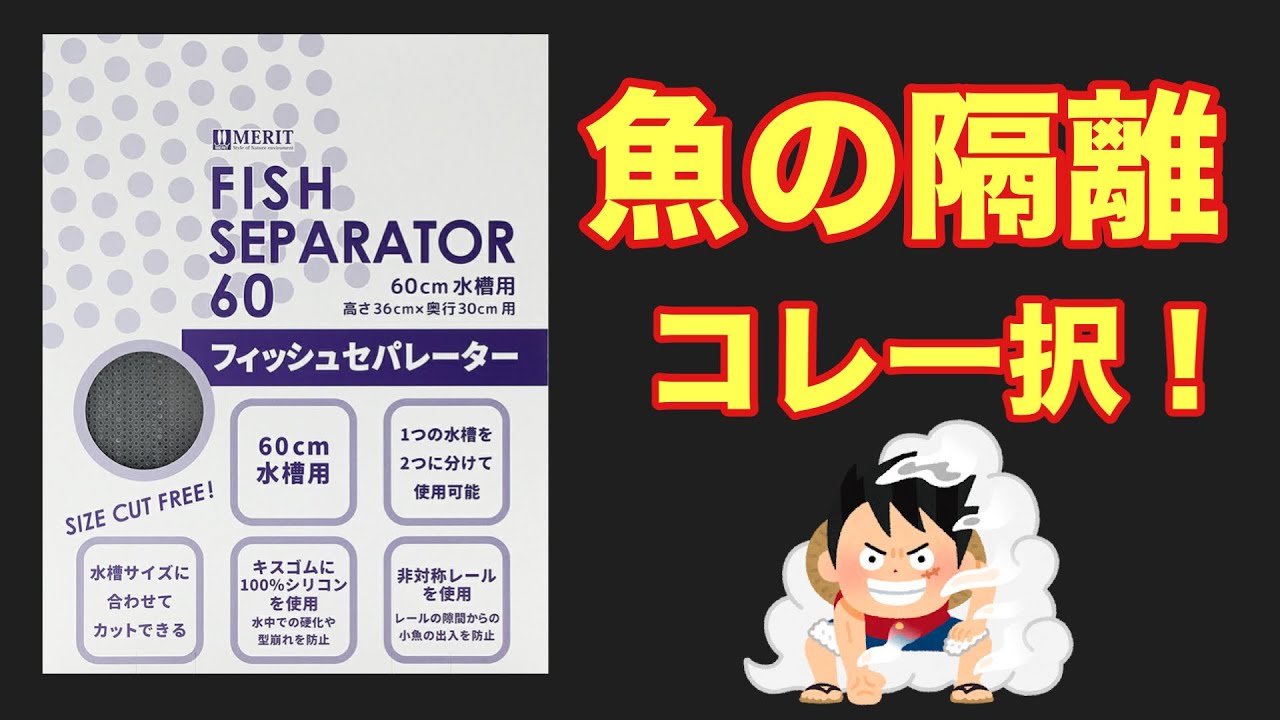 A thorough explanation of the Mazda Fish Separator] The ultimate