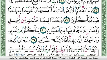 مصحف شيرزاد عبد الرحمن طاهر  مكتوب ملون فيديو سورة 036  يس