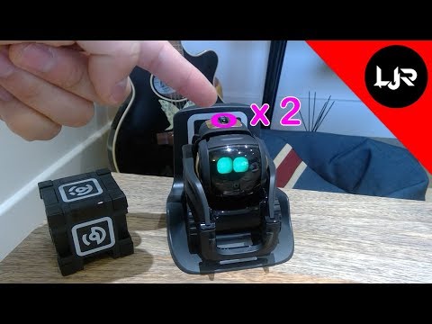 Try This If You Have A Problem With Anki Vector