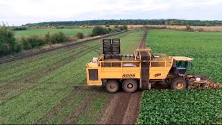 Tractor Supply Company: A Hidden Gem for Smart Investors (2025)