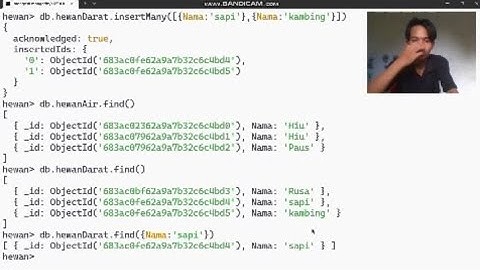 Membuat CRUD di MongoDB Tugas Manajemen Basis Data