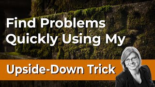 The Upside-Down Trick – a Photography Hack for Better Images screenshot 1