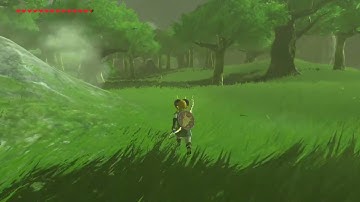[DAY 476] of finding one korok seed everyday until Botw2 comes out