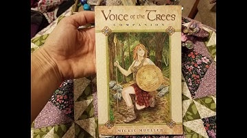Daily Oracle Card Tree Tuesday June 18, 2019, Voice of the Trees Oracle Card Reading