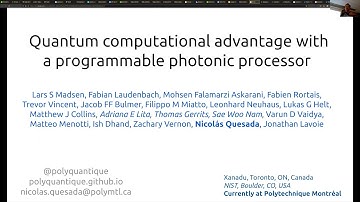 Quantum Computational Advantage with a Programmable Photonic Processor
