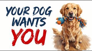 If Your Dog Brings You Toys, This Is What They're Trying to Say