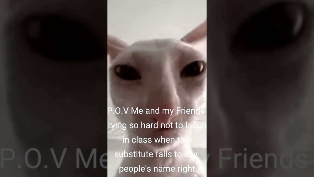 Why do they do this💀 