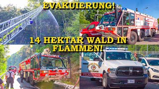 [GROSSER WALDBRAND BEI PIRMASENS] - 14 HEKTAR WALD IN FLAMMEN - | ANWOHNER EVAKUIERT | FEUERWEHR