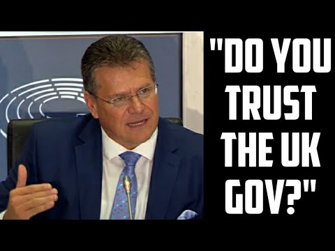 "Do You Trust The UK Government?" EC Vice President Challenged By Journalist!