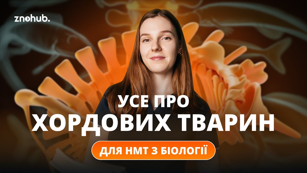 Усе про хордових тварин для НМТ з біології