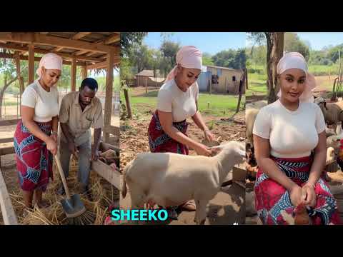 Gabar Meherkeeda Laga Dhigay Kun Ari Waxaana Sabab U Ahaa Jacaylkeeda Dhabta Ahaa 