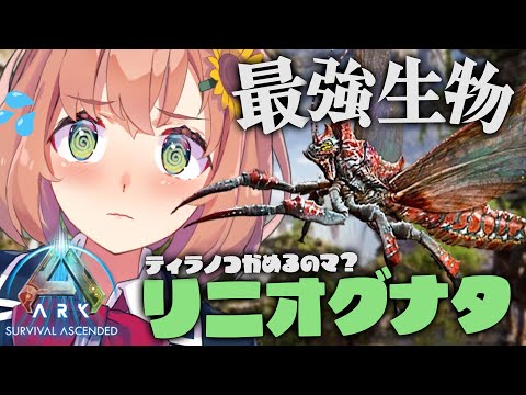 【ARK: Survival Ascended】ARKリメイク！ティラノも持てる！？リニオグナタ捕まえるぞ！！！！！！！！！！！！！！！【本間ひまわり/にじさんじ】