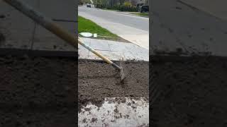 Part 1/4 For This Landscaping Project! #gardenersworld #gardener #gardendesign#landscaping#landscape