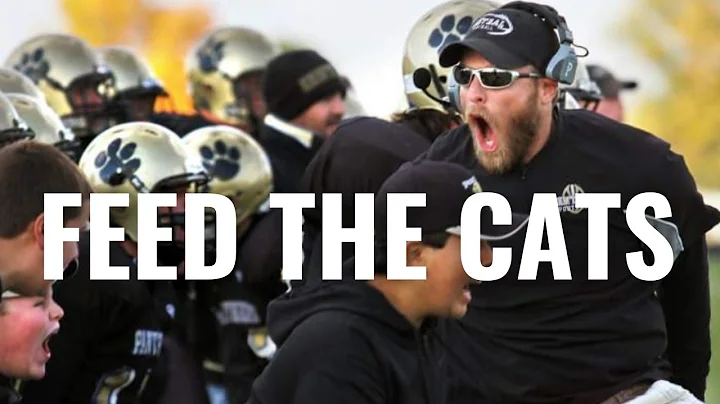 Feed the Cats Training With Brad Dixon | Podcast E...