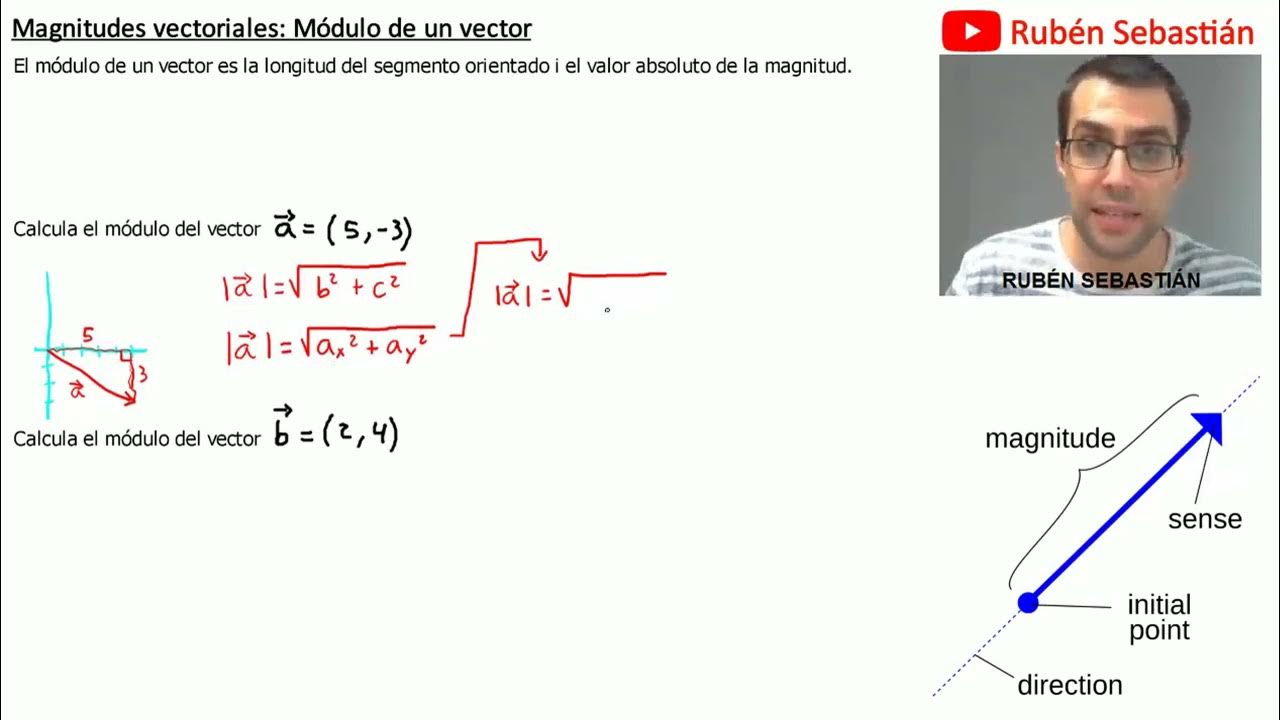 Calcular el m dulo de un vector qu es el m dulo de un vector c mo