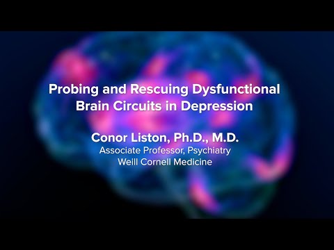 Probing and Rescuing Dysfunctional Brain Circuits in Depression - UC Davis Psychedelic Summit 2023