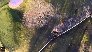 First flight with the GoPro Hero4 Session - Trees