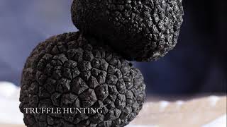 Umbria - - Luxury Experiences - Day Trip - By Italian Touch Dmc Todi - Your Local Expert