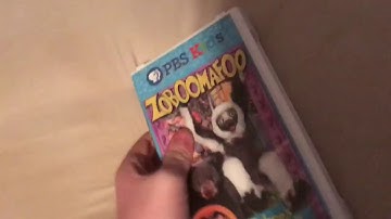 VHS/DVD Collection Videos in a Nutshell! (Vocoded)