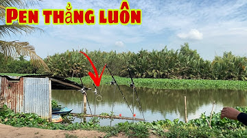 Câu Cá Tra Sông | Bãi Đẹp Cá Bự Pen Cái Hú Hồn Nha | Fishing Miền Tây